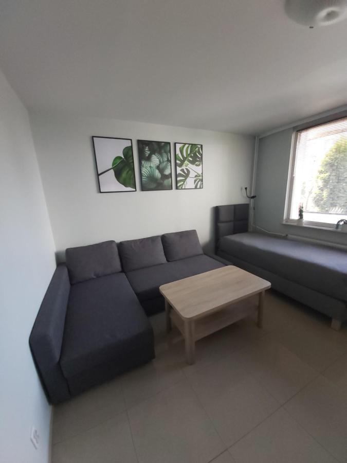 Apartament Z Ogrodem Tychy Kültér fotó